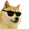 :dg;